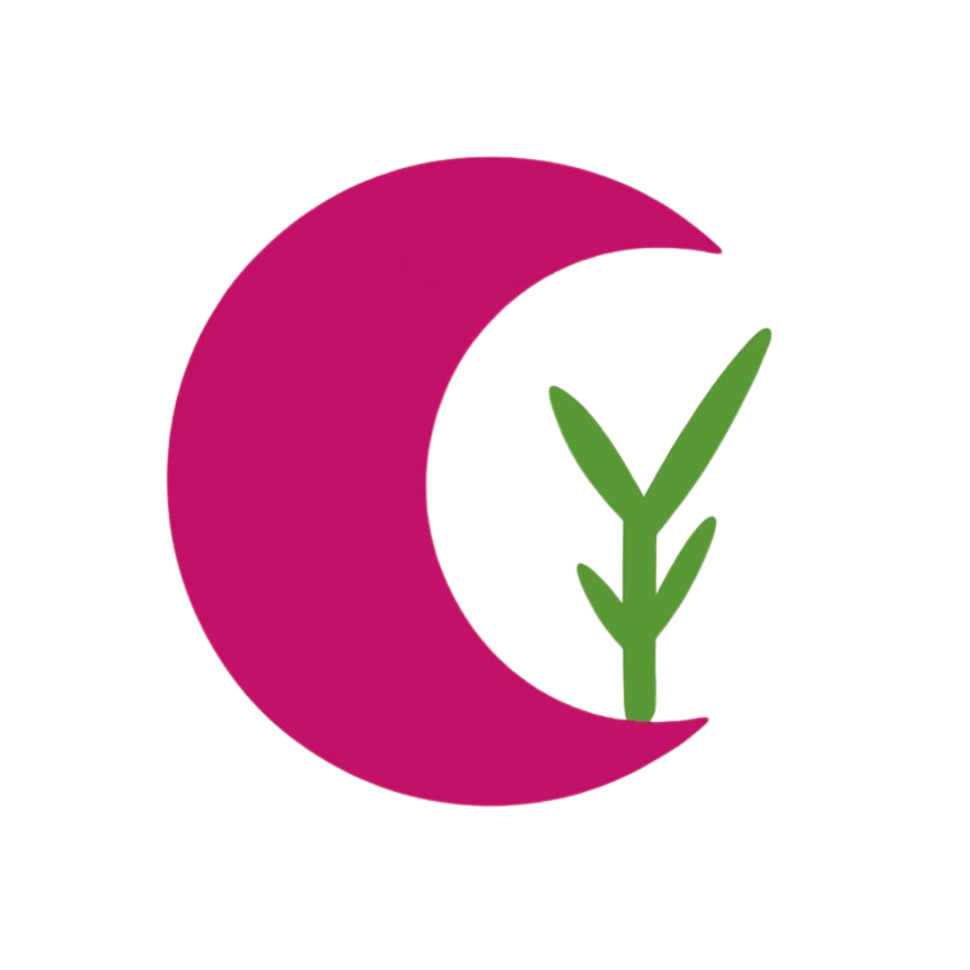 Vibe Coding for Therapists logo
